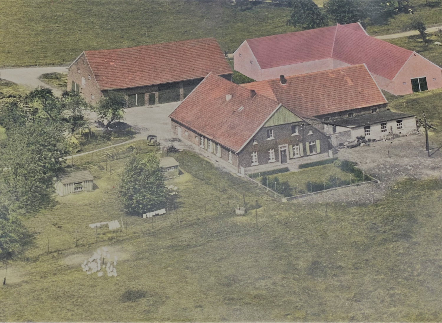 Hof 1956
