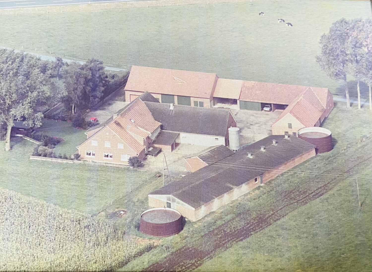 Hof 1985
